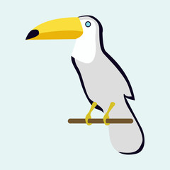 Toucan, bird. Cute toucan flat vector isolated on white. Vector illustration, EPS 10.