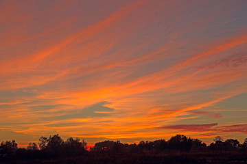 Orange sunset over trees. Twilight with bright sunset. Evening landscape