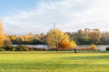 Autumn Colour Display