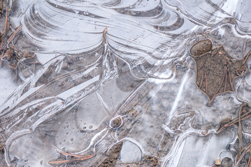 Frozen puddle close-up