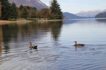Lago Correntoso, Siete Lagos, San Martin de los Andes, Villa La Angostura, Neuquen, Patagonia...