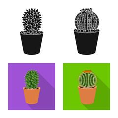 Vector design of cactus and pot icon. Collection of cactus and cacti stock vector illustration.