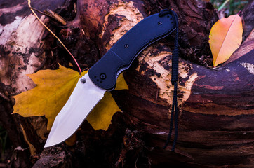Autumn composition with a knife. Knife and autumn foliage.