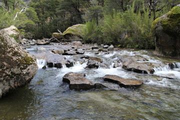 Falkner, Siete Lagos, Neuquen, Patagonia Argentina