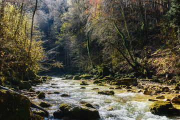 The mountain river flows over stones surrounded by trees with fallen leaves in late autumn
