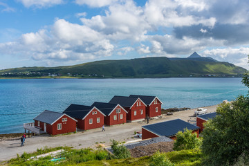 Naklejka premium Red houses in lofoten islands, norway