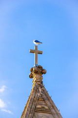 Fototapeta na wymiar Seagull on a cross on the roof of the bell tower of a church