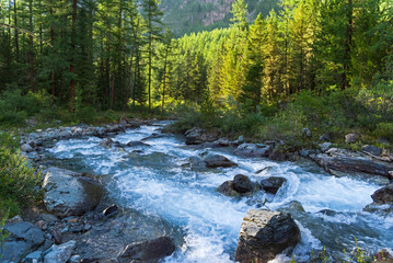 A small river in the Altai Mountains. Russia.
