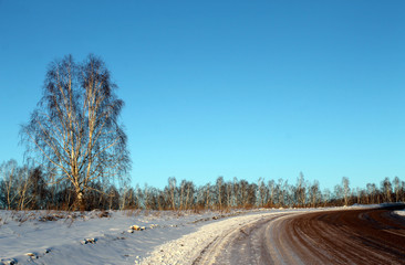 Obraz na płótnie Canvas Winter landscape - frosty trees in snowy forest. Road in a wonderful winter forest