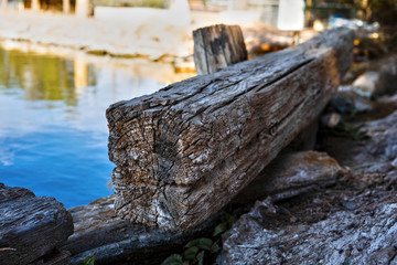 old logs stacked up near by a lake or pond on a beautiful sunny day 