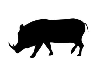 Boar silhouette isolated on white background vector
