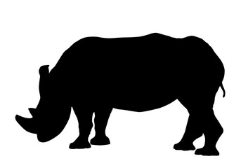 Naklejka premium Rhinoceros silhouette isolated on white background vector