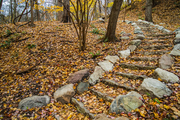 Autumn&rsquo;s steps