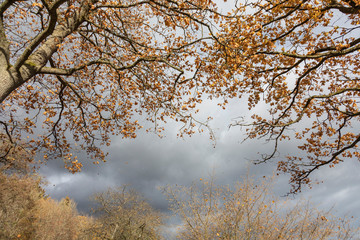 Herbststimmung im Sauerland