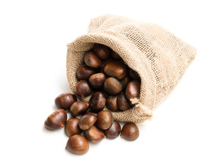 Fresh chestnuts in sack bag on white background