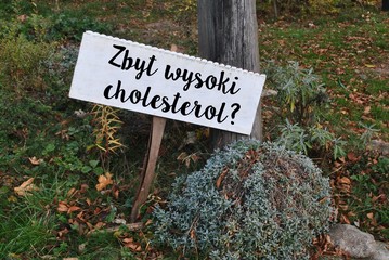 Zbyt wysoki cholesterol?