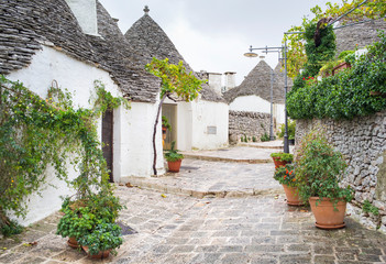 wide street with old typical houses with vineyard in Alberobello in Puglia in Italy