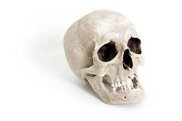 Human skull on white background