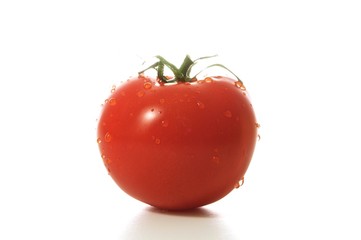 tomato with water drops isolated on white background