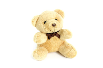 Brown teddy bear on white background