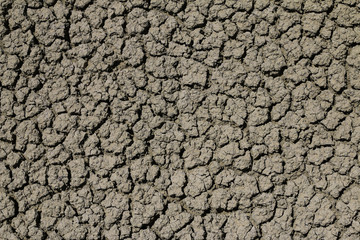 Dirt, Painted Hills, Oregon