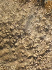 Close up of rock formation in Yellowstone National Park, Wyoming