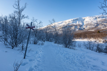 Fototapeta na wymiar Winter landscape in Lapland, Abisko National Park, Abisko, Sweden