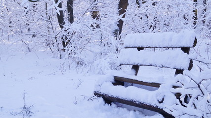 winter, зима