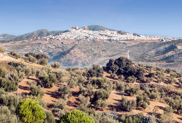 Fototapeta na wymiar White town of Olvera in Andalusia