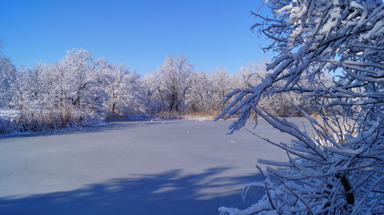 winter, зима
