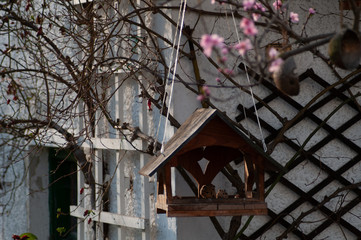 Fototapeta na wymiar Vogelhäuschen in herbstlichem, winterlichem Garten mit rosa Blüten und alter Scheune