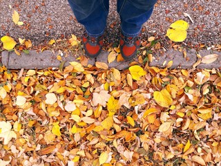 Red shoes walking on the leaves. Mixed colorful leaves on the ground. 