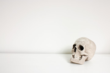 Human skull laid on white desk in front of white wall with space around