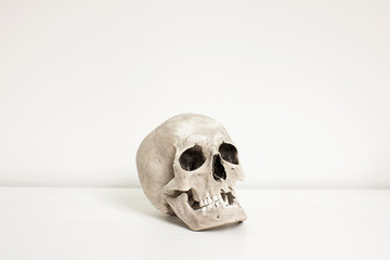 Human skull laid on white desk in front of white wall with space around