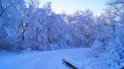 winter, зима