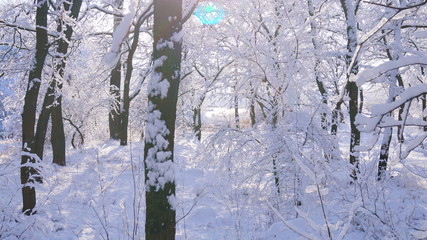 winter, зима
