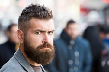 Bearded and cool. Barber tips maintain beard. Hipster appearance. Stylish beard and mustache fall...