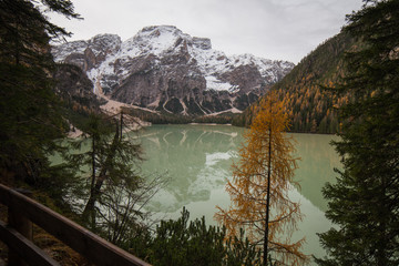 Braies