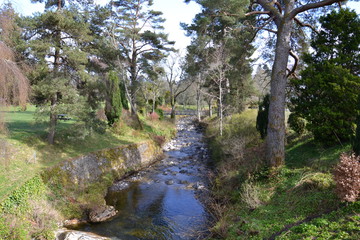 Лесной пейзаж с рекой в районе Питлохри в Шотландии © lozinsky_s_v
