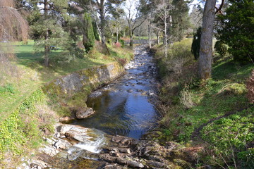 Весенний шотландский лесной пейзаж сразу после апрельского снега © lozinsky_s_v