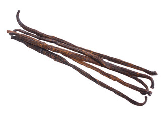 Vanilla pods. Isolated on white background. Full depth of field