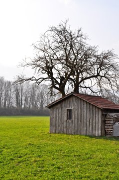 Quinta agr&iacute;cola