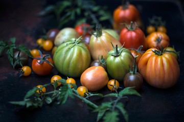 Various types of tomatoes