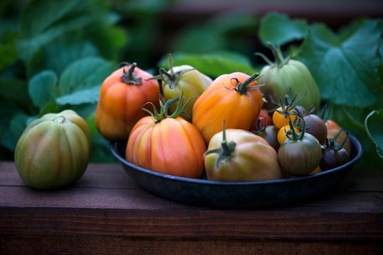 Various types of tomatoes on plate