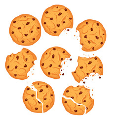 Vector illustration of chocolate cookies set. Different shapes oatmeal cookies with chocolate drops and crumbs isolated on white background.