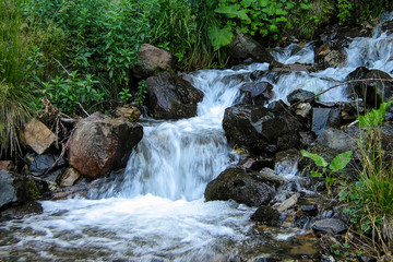 Obraz premium A small creek flows through the forest