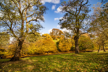 autumn in the park by marsell