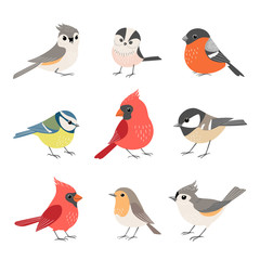 Collection of cute winter birds - 233289201