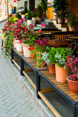 flowers in tubs adorning