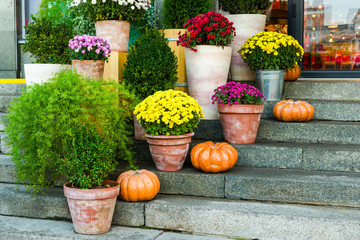 flowers in tubs adorning